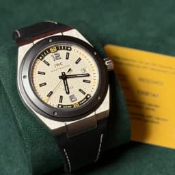 Ingenieur Automatic Climate Action thumbnail 12